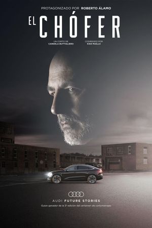The Driver's poster