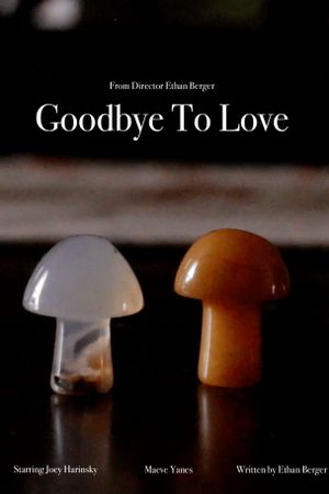 Goodbye To Love's poster