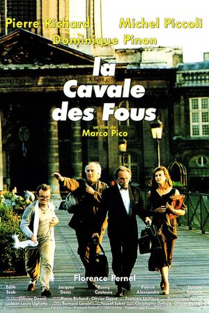 La cavale des fous's poster