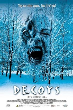 Decoys's poster
