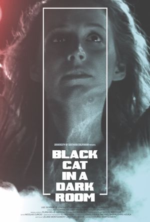 Black Cat in a Dark Room's poster image