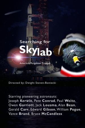 Searching for Skylab's poster