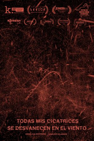 All My Scars Vanish in the Wind's poster