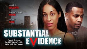 Substantial Evidence's poster