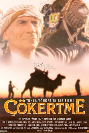 Çökertme's poster