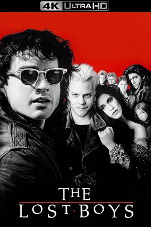 The Lost Boys's poster