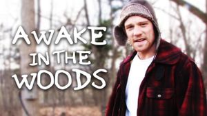 Awake in the Woods's poster