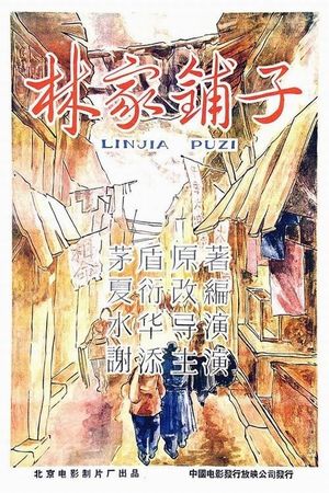 The Lin Family Shop's poster