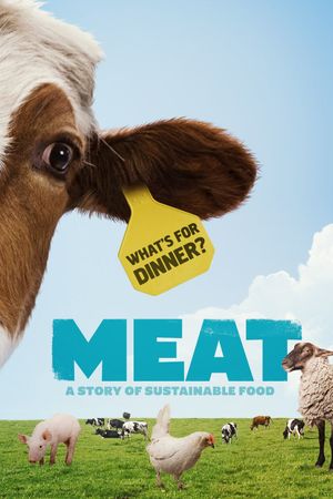 Meat's poster