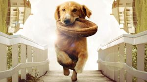 A Dog's Purpose's poster
