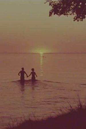 Viking Settlement in the Jet Age: A Film About Östergötland's poster
