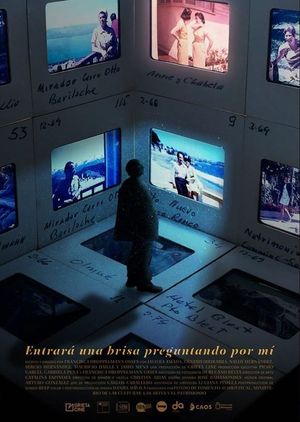 Entrará una brisa preguntando por mí's poster