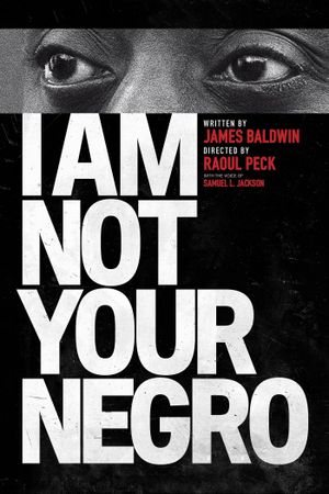 I Am Not Your Negro's poster