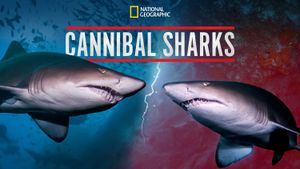 Cannibal Sharks's poster