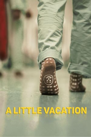 A Little Vacation's poster image