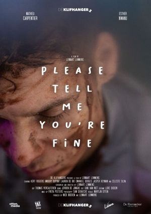 Please tell me you're fine's poster image