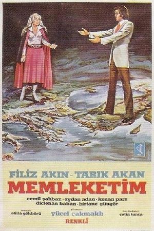 Memleketim's poster
