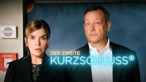 Der zweite Kurzschluss's poster