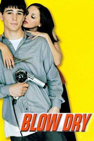 Blow Dry's poster