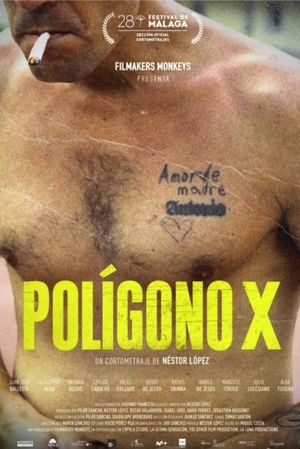 Polígono X's poster