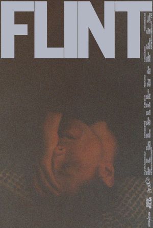 FLINT's poster