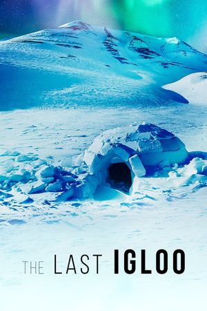 The Last Igloo's poster