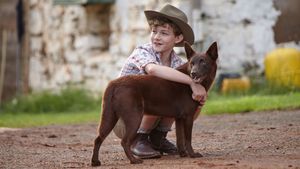 Red Dog's poster