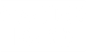 O Candidato Honesto's poster