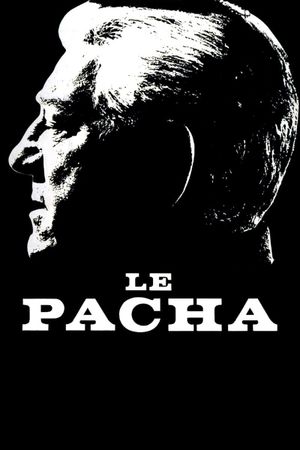 Pasha's poster