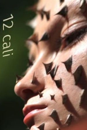 12 cali's poster