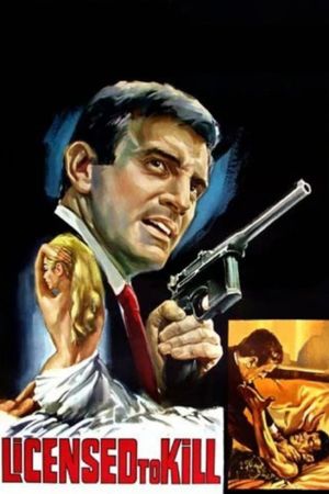The 2nd Best Secret Agent in the Whole Wide World's poster