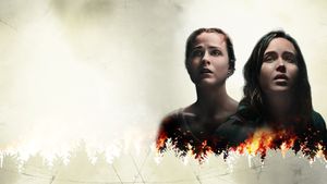 Into the Forest's poster
