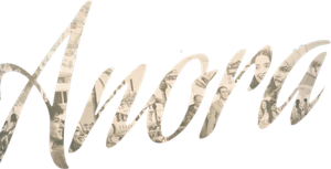 Anora's poster