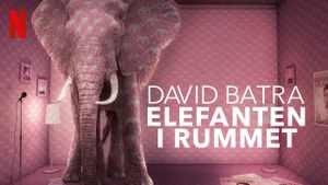 David Batra: Elephant in The Room's poster