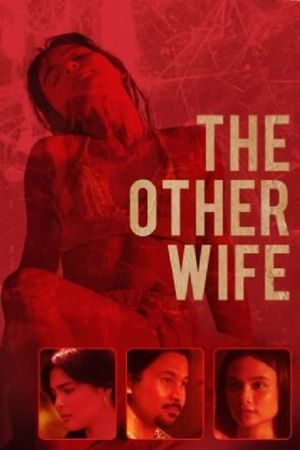 The Other Wife's poster