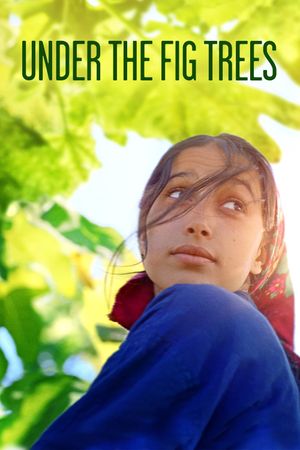 Under the Fig Trees's poster
