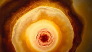 Voyage of Time: Life's Journey's poster