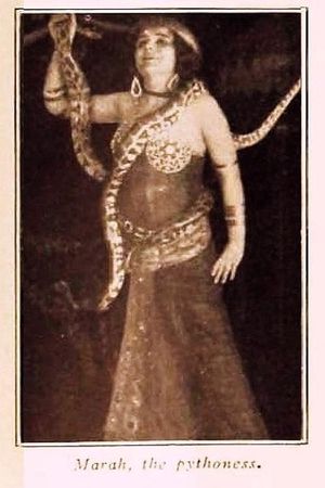 Marah, the Pythoness's poster