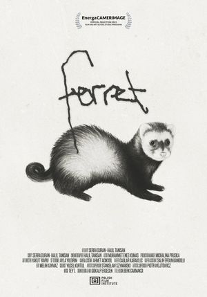 Ferret's poster