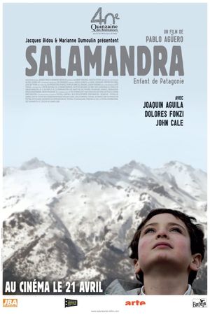 Salamander's poster