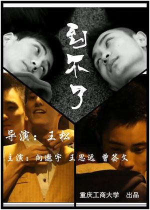 Imperfect's poster