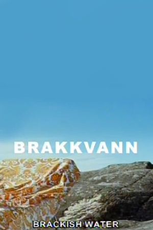 Brackish Water's poster