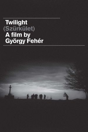 Twilight's poster