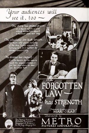 The Forgotten Law's poster