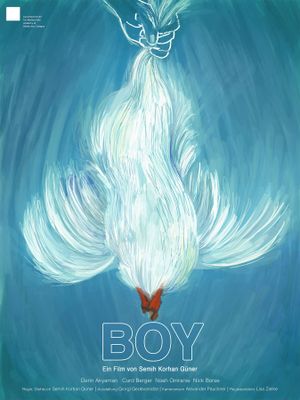 Boy's poster image