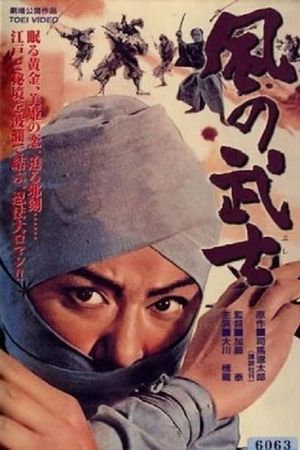 Warrior of the Wind's poster