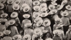 Tina Modotti: Dogma and Passion's poster