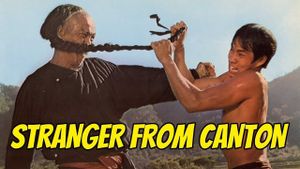 The Karate Killer's poster