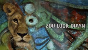 Zoo Lock Down's poster