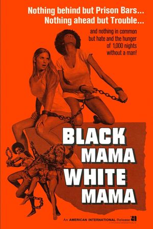 Black Mama White Mama's poster